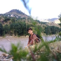 zawar ali