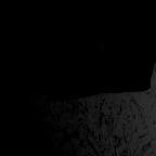 анастасия довжик