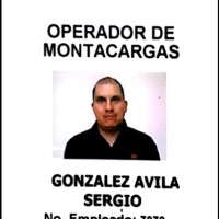 sergio gonzalez avila