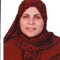 Dr.Wessam Ain Shams