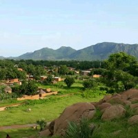 Adoum Moussa