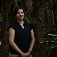 Katrin Plogstert