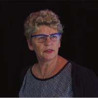 Driesje Vos