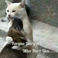 Lwanzhe Lion Of Judah