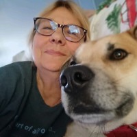 Shari Dedick