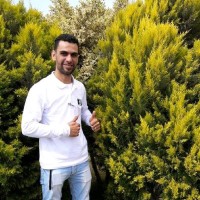 Hossam Adel