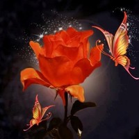 Mihajlovics Dorottya