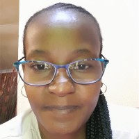 Nolo Shai