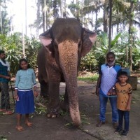 BIJU THANKAPPAN