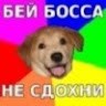 Дмитрий Белов