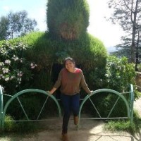 Milagros Edith Camargo Carhuamaca