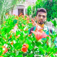 إبراهيم ياسين