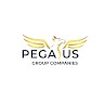 Pegasus Mineral