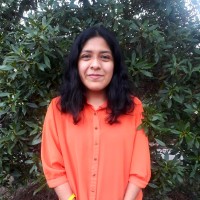 Marisol Queupumil Luza