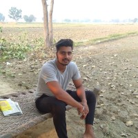 N Nitish