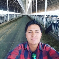 Luis Armando Salazar Reyes