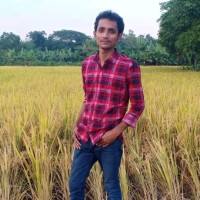Sojib Ahmed
