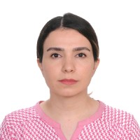 Arezou Mahmoudi