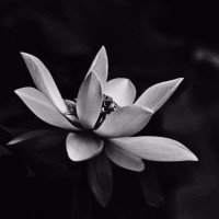 穆长海