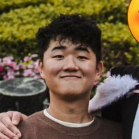 Jaemin Han