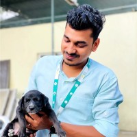 Md iliyas
