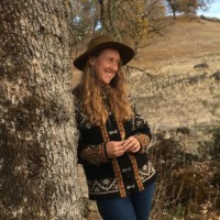 Lindsay Dailey (she / her)