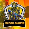 Mohd Sharib