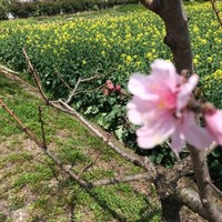 石宏杰