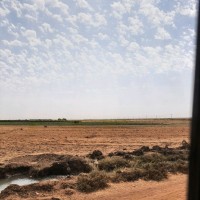 على موسى على ادم
