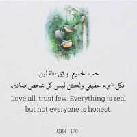Saed Odeh