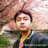 Candra Nugroho Nugroho