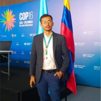 Omar David Cifuentes Celis