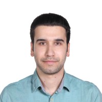 Hamed Shahidi