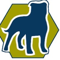 Blue Nose IT Solutions