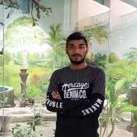 Partha Pritam Karan