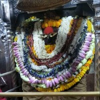 Vikash Kumar Singh