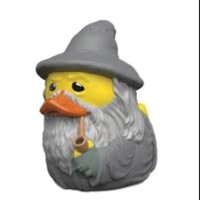 Stuart Duck