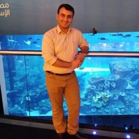 muhammad alsayed