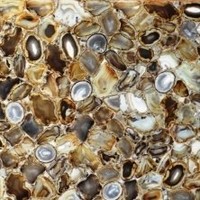 bhandari Marble Corporation