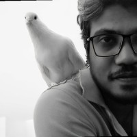 Kazi Shanto