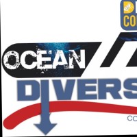 OCEAN DIVERS