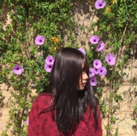 Phuong Anh Le Ba