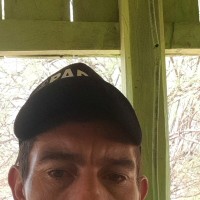Natividad Dominguez
