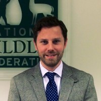David Degennaro