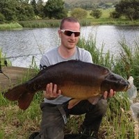 Tom Welsh