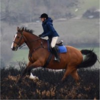 Dr. Michael Williams