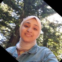 Doha Sayed
