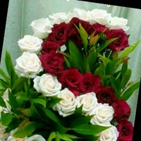 Md Shohag
