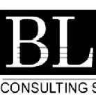 BL Consulting Services