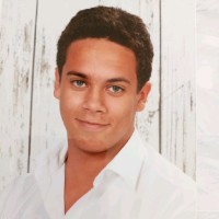 Sander Van Der Velden